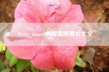 黄石中国金牌图片大全