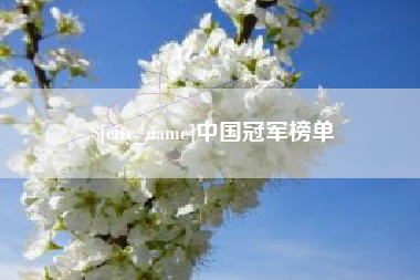 黄石中国冠军榜单