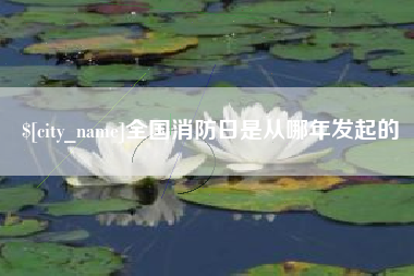 黄石全国消防日是从哪年发起的