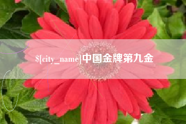 黄石中国金牌第九金