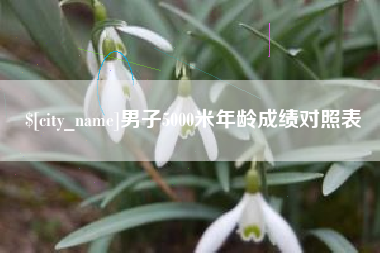 黄石男子5000米年龄成绩对照表