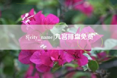 黄石九宫排盘免费
