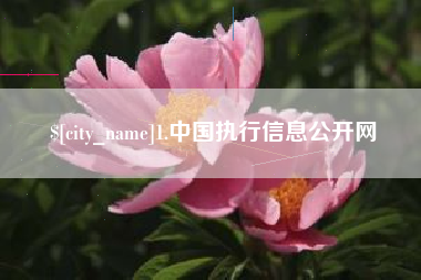 黄石1.中国执行信息公开网