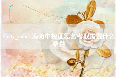 黄石消防中控证怎么考取需要什么条件