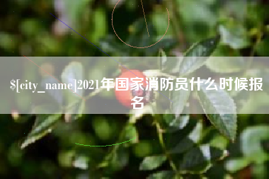 黄石2021年国家消防员什么时候报名