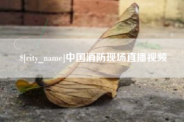 黄石中国消防现场直播视频