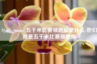 黄石五千米比赛领跑员是什么-他们就是五千米比赛领跑员
