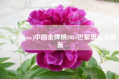 黄石中国金牌榜2024巴黎奥运会最新