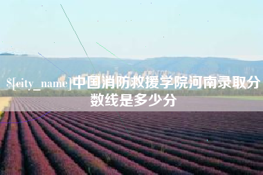 黄石中国消防救援学院河南录取分数线是多少分