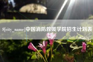 黄石中国消防救援学院招生计划表