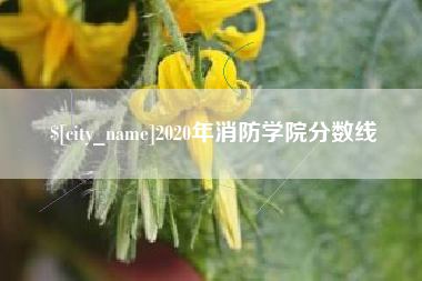 黄石2020年消防学院分数线