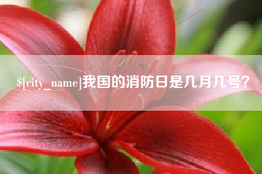 黄石我国的消防日是几月几号？
