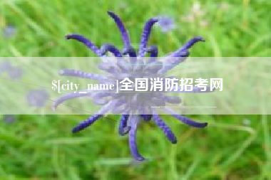 黄石全国消防招考网