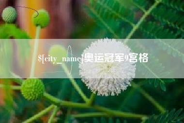 黄石奥运冠军9宫格