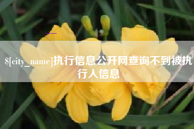 黄石执行信息公开网查询不到被执行人信息