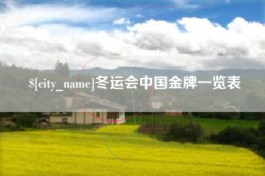 黄石冬运会中国金牌一览表