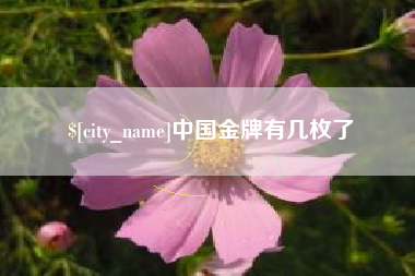 黄石中国金牌有几枚了