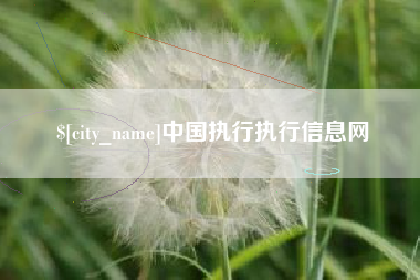 黄石中国执行执行信息网