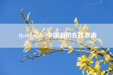 黄石中国消防在线查询