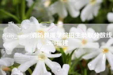 黄石消防救援学院招生录取分数线2020福建