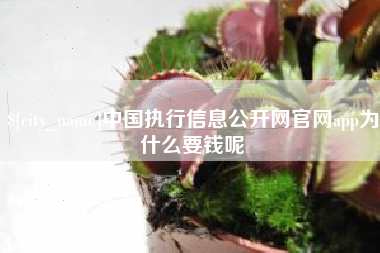 黄石中国执行信息公开网官网app为什么要钱呢