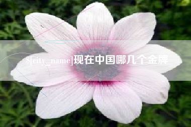 黄石现在中国哪几个金牌