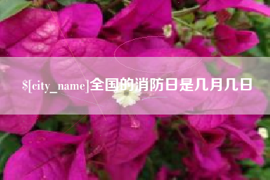 黄石全国的消防日是几月几日