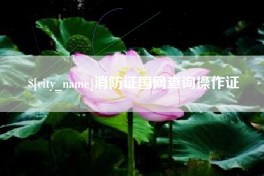黄石消防证国网查询操作证
