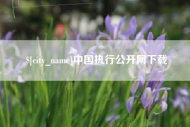 黄石中国执行公开网下载