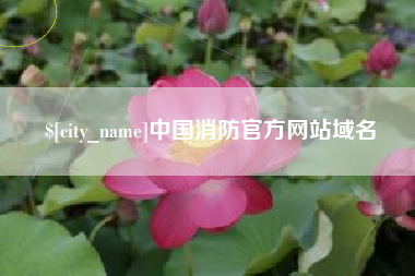黄石中国消防官方网站域名