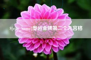 黄石奥运金牌第二个九宫格