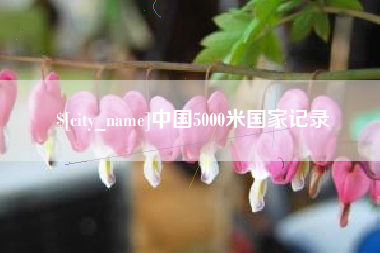 黄石中国5000米国家记录