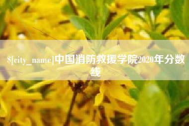 黄石中国消防救援学院2020年分数线