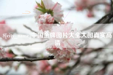 黄石中国金牌图片大全大图真实高清