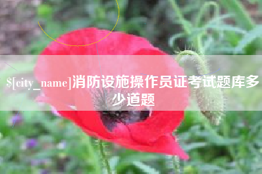 黄石消防设施操作员证考试题库多少道题
