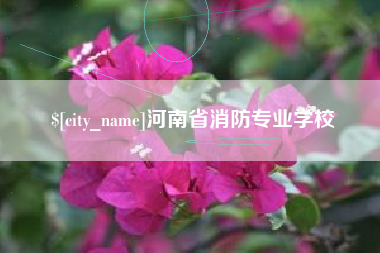 黄石河南省消防专业学校