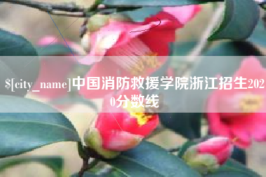 黄石中国消防救援学院浙江招生2020分数线