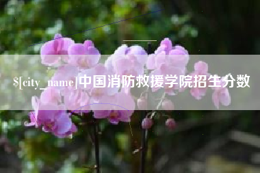 黄石中国消防救援学院招生分数