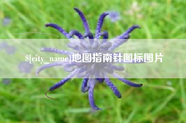 黄石地图指南针图标图片