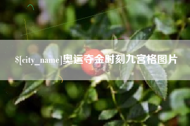 黄石奥运夺金时刻九宫格图片