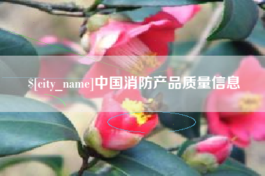 黄石中国消防产品质量信息
