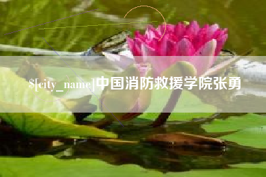 黄石中国消防救援学院张勇