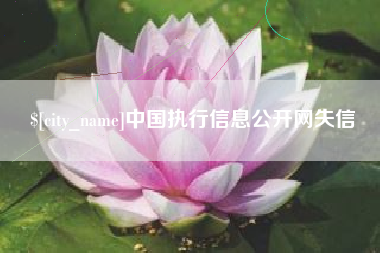 黄石中国执行信息公开网失信