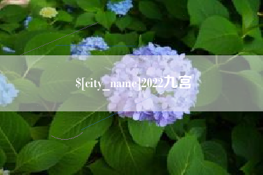 黄石2022九宫
