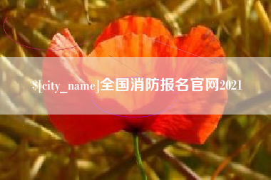 黄石全国消防报名官网2021