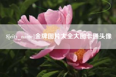 黄石金牌图片大全大图卡通头像