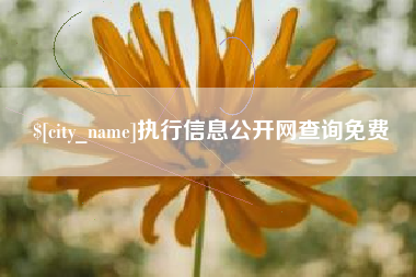 黄石执行信息公开网查询免费