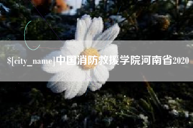 黄石中国消防救援学院河南省2020